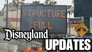 Disneyland Updates - Avengers Campus Construction Heating Up