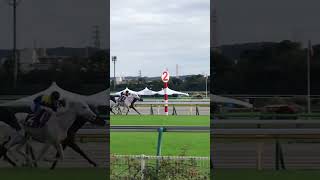 府中牝馬S ソダシ