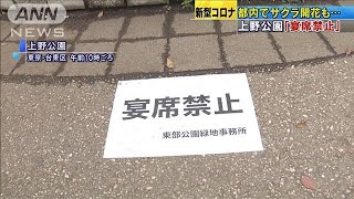 都心でサクラ開花も・・・「宴席禁止」で寂しい春(20/03/15)