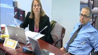 Chronic Hazard Advisory Panel Phthalates Part 1
