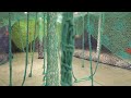 Blueproject Foundation - Ernesto Neto