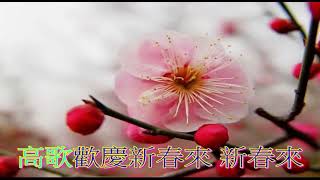 紅梅贊  音樂版