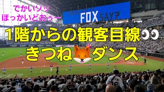 きつね🦊ダンス まだまだ凄い⤴️⤴️ノリノリダンシング🎶 ファイターズガール エスコンフィールド北海道 2023.5.6