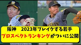 阪神 プロスペクトランキングが発表。森木大智や村上頌樹など岡田監督も期待【阪神タイガース】