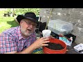 How to Grow Vegetables in Containers - A Step by Step Guide  Black Gumbo
