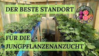 Der beste Standort für die Jungpflanzenanzucht