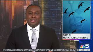 Federal officials warn of BIRD FLU mutations in U.S.