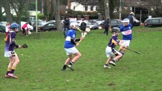 U10 Cork Sars v Kilmacud Crokes