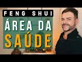 COMO ATIVAR A ÁREA DA SAÚDE EM CASA/ LUIZ NETTO