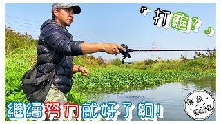 【釣魚津觸咪】前陣子真是龜到不像話🤧#V特 #津觸咪 #中部釣魚 #路亞釣遊