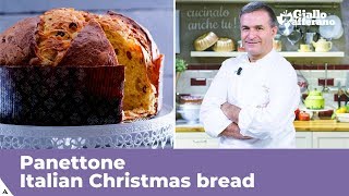 PANETTONE (Italian Christmas bread: traditional recipe)