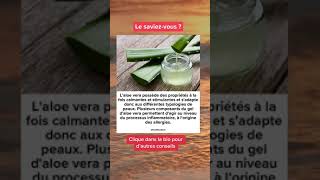 Les bienfaits de l'aloe vera pour la santé et le bien-être