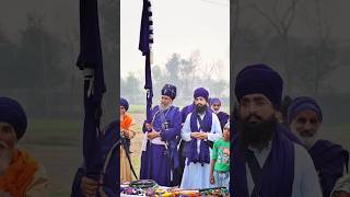 🦅 ਬਿਧੀ ਚੰਦੀਏ 🦅 ਨਗਰ ਕੀਰਤਨ #viralvideo #punjabiculture  #hazursahibhorse #nihangsingh