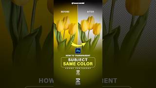 Photoshop tutorials - transparent background same color✨تفريغ العنصر من نفس لون الخلفية #photoshop