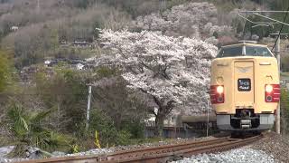 2022.4.2 特急「やくも8号」1008M 381系6B 国鉄色 備中川面－木野山