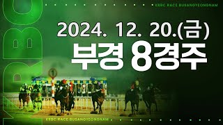 (부산) 2024.12.20 8경주