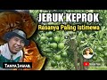 JERUK KEPROK MADU, TERIGAS, CHOKUN, BW : CARA MENANGANI POHON JERUK MUDA YANG BERBUAH