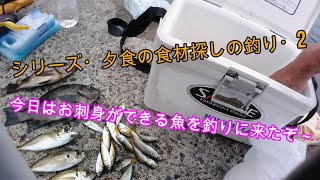 えむでテレビジョン283　ｼﾘｰｽﾞ・夕食の食材探しの釣り2　今日はお刺身ができる魚を釣りに来たぞ～　＃おかず釣り　＃サビキ釣り