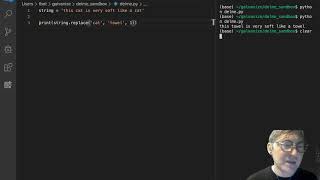 String Functions and Methods - the replace method