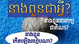 អធិប្បាយ នាងពួនកើតពីណា? នាងពួនជាភសាអ្វី ?