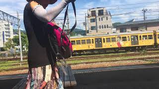 近江鉄道(本線)車窓[1/2]米原→八日市/ 800系 米原1419発(近江八幡行)