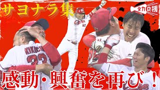 【サヨナラ集】2024年の感動・興奮のサヨナラで勝った試合をプレイバック🔥 【球団認定】カープ全力応援チャンネル