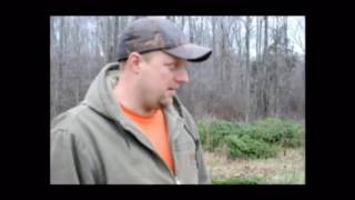 When to subsoil when planting tree tips