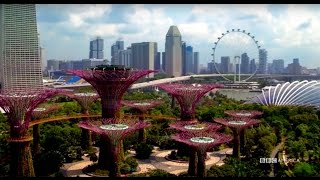 Cities: Episode 6 Trailer | Planet Earth II | Saturdays @ 9/8c on BBC America