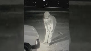 Fairfax serial arsonist arrested