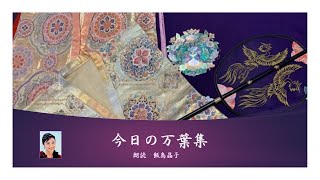 【今日の万葉集】5月4日　「あかねさす紫野行き標野行き　野守は見ずや　君が袖振る」端午の節会に、蒲生野で狩りがあり、額田王が、天智天皇と一緒に来ていた大海人皇子にむけて詠んだという歌といわれています。