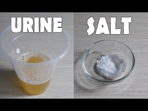 Home Pregnancy Test With Salt | Pregnancy Test With Salt Positive | Pregnancy Test At Home Home Pregnancy Test With Salt | Pregnancy Test With Salt Positive | Pregnancy Test At Home