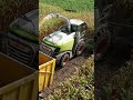 Corn harvest for silage with Claas Jaguar 960 + 10 row header #corn #maize #mais #claasjaguar