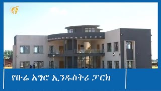 ባላሀብቶችን ለመቀበል በዝግጅት ላይ የሚገኘው የቡሬ አግሮ ኢንዱስትሪ ፓርክ