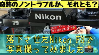 果たして動くのか？落下させてしまった一眼レフ、Nikon F3でテスト撮影して来ました。#フイルムカメラ #フイルム一眼レフ #フイルム写真