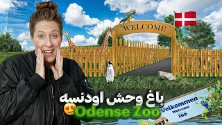 باغ وحش اودنسه .نهمین جاذبه گردشگری دانمارک Odense Zoo🇩🇰