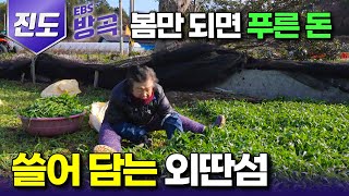 [전남 진도] 봄 볕 내리면 푸른 쑥으로 덮여 주민들 손 바빠지는 섬┃몸 부지런 하면 모든 걸 내어주는 '조도'┃#한국기행 #방방곡곡