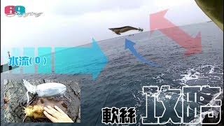 [路亞擬餌] 過年加菜囉!白天軟絲攻略... 2019/01/台灣69J釣魚俱樂部(69J Fishing Club)