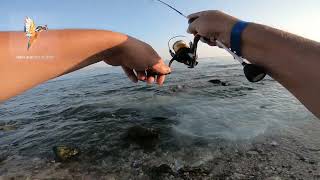 Greece, ultralight rock fishing  🐟🐟🐟 #metaljig #xul #ultralightfishing  #lrf #splitrig