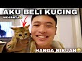 AKU BELI KUCING 😭 HARGA RIBU2😳‼️| DAPAT JUGA BELA😭| NAMA DIA…….