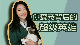 你爱宠背后的超级英雄｜Welcome to my channel!【RVT大竹子】