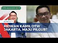 Rumor RK Maju Pilgub DKI, Ahmad Sahroni: Kalau Ridwan Kamil Doang Mah Gampang