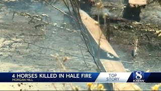 4 horses killed in Morgan Hill fire