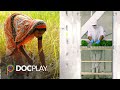 10 Billion - What's On Your Plate | Official Trailer | DocPlay
