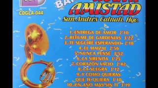 Banda Nueva Amistad - Entrega de Amor (de San Andres Calnali Hgo).wmv