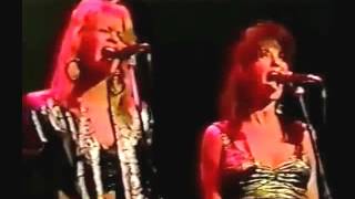 Coming Home Lynyrd Skynyrd 87