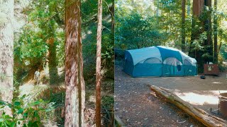 Hiking Trails and Camping Nights 🌌 in Redwood Portola, California 🌲