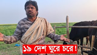 ১৯ দেশ ঘুরে চরে | cow farming in bangladesh | mahamudul hasan | Y Bee