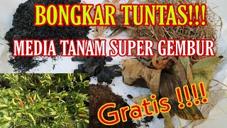 BONGKAR TUNTAS MEDIA TANAM GEMBUR SUBUR & GRATIS