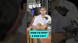 😿 จะรู้ได้ยังไงว่าแมวป่วย? QUIZ: How to Spot a Sick Cat?