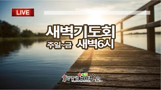 양평매곡교회 새벽기도회(12월30일) 도와 주기를 구하였으니  (김신도목사)